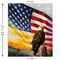 Eagle Panel (pd17097-panel) | American Honor | Vicki Gifford | Riley Blake
